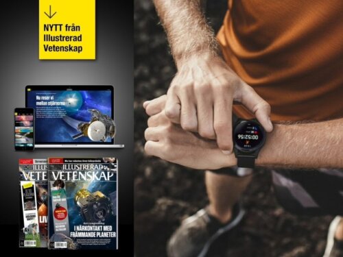 Illustrerad Vetenskap Smartklocka